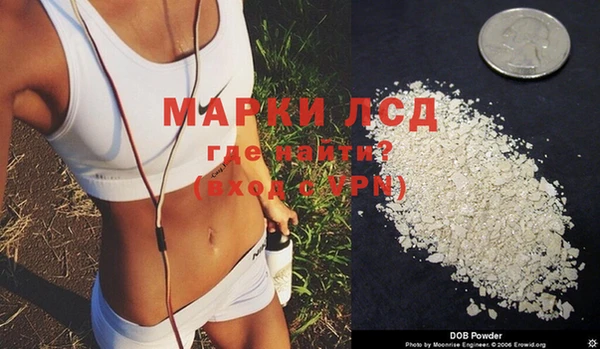 apvp Алзамай