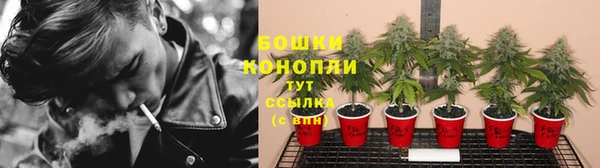 ГАЛЛЮЦИНОГЕННЫЕ ГРИБЫ Алексин