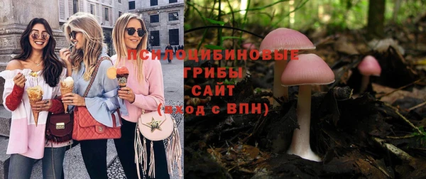 ГАЛЛЮЦИНОГЕННЫЕ ГРИБЫ Алексин