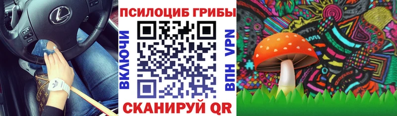 Псилоцибиновые грибы мухоморы  где можно купить наркотик  Порхов 