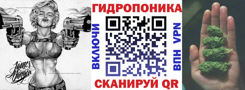 Конопля OG Kush  Порхов 